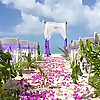Tobago Weddings