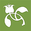 Todd Haiman Landscape Design