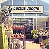 Cactus Jungle