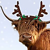 VisitScotland