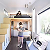 SHEDsistence