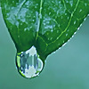 Green Business