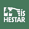 Ishestar Riding Tours