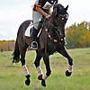 albertaeventer