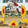 Lily Equestrian