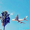 The Budget Traveller