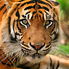 National Zoo & Aquarium