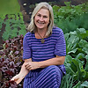 No dig home | Permaculture blog