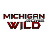 Michigan Gone Wild