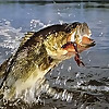 Outdoor Guide Magazine
