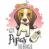 Pipas The Beagle
