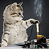 The Register » Qualcomm