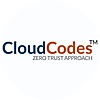 CloudCodes » Cloud Security