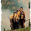 Wildland Firefighter | The Voice of the Wildland Firefighter